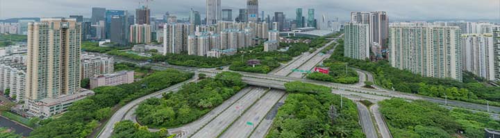 技術參數手機版頻道背景